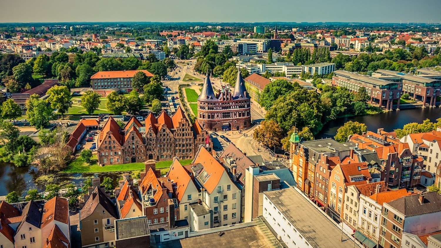 Baukunst - Miyawaki in der Hansestadt: Studierende pflanzen Zukunft