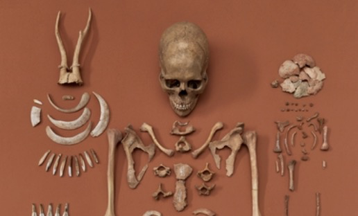 Baukunst - Die Schamanin von Bad Dürrenberg